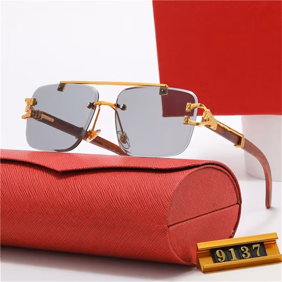 2023 Unisex Sunglasses Fashion Designer Sunglass Fashion Lens