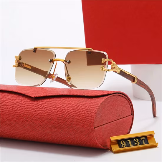 2023 Unisex Sunglasses Fashion Designer Sunglass Fashion Lens