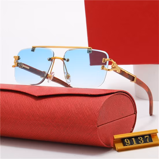 2023 Unisex Sunglasses Fashion Designer Sunglass Fashion Lens
